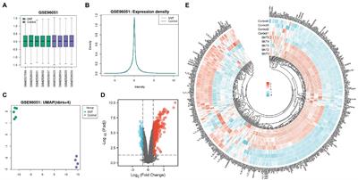 Systematic identification of potential key microRNAs and circRNAs in the dorsal root ganglia of mice with sciatic nerve injury